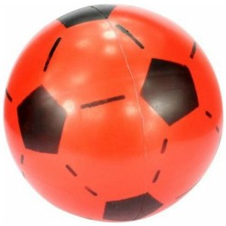 BALON/PELOTA GOMA GRANDE