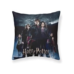 FUNDA DE COJÍN GOBLET OF...