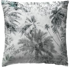 COJIN PALM TREE 80X80